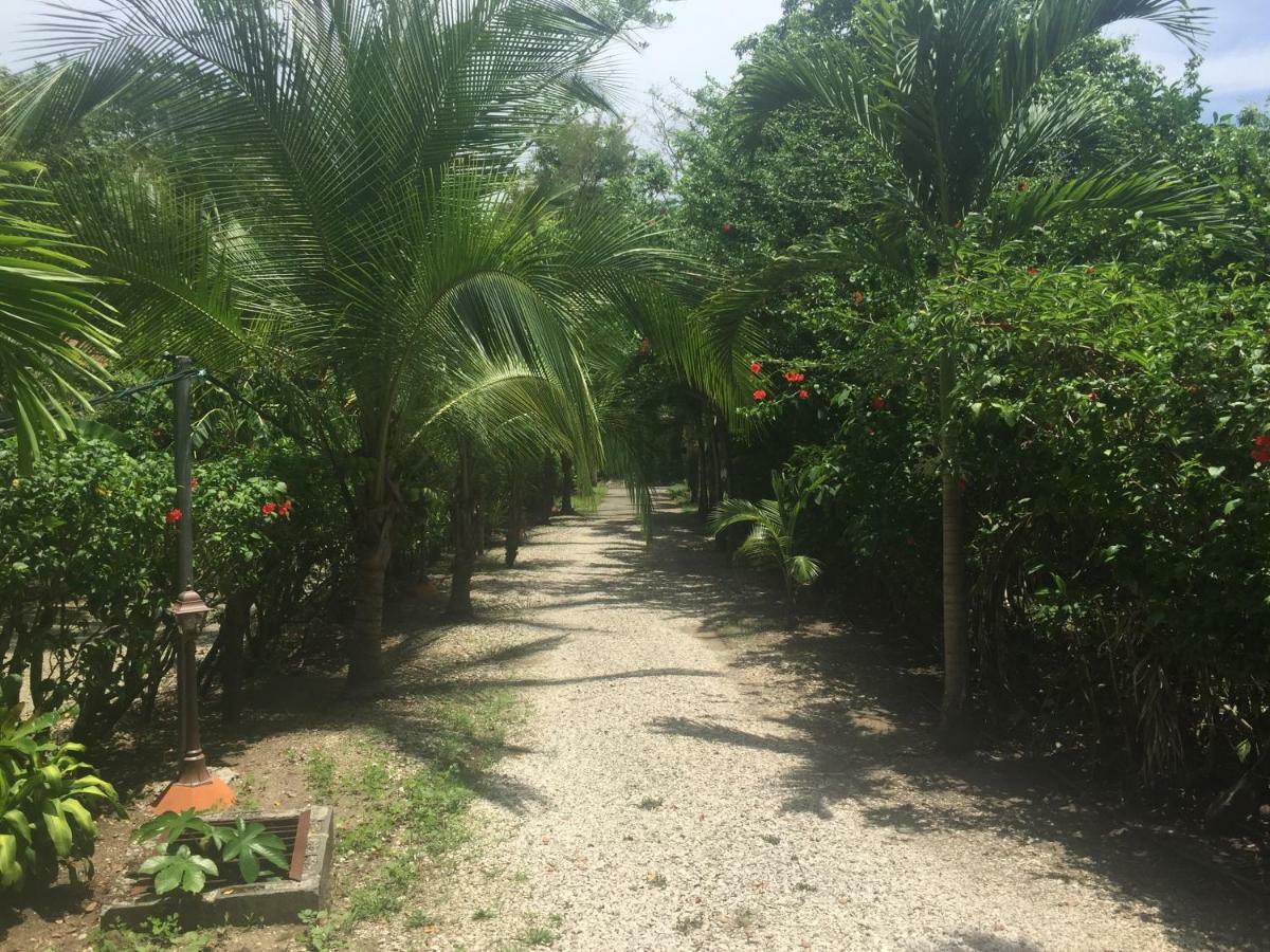 Villas Luna De Miel Carmen  Екстериор снимка